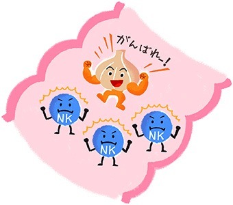 ガン細胞を攻撃するnk細胞をにんにく成分で正常に にんにく大辞典
